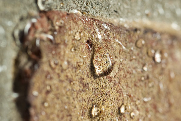 hydrofoberen gevel